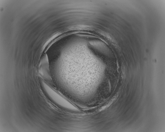 X0000083571073200702231624