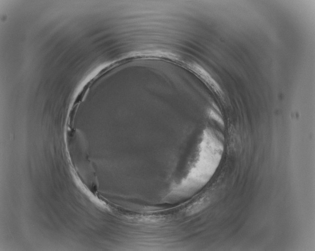 X0000083571084200702231623