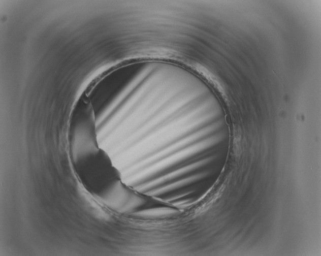 X0000083571085200702231623