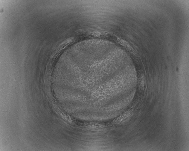 X0000083571105200702231622