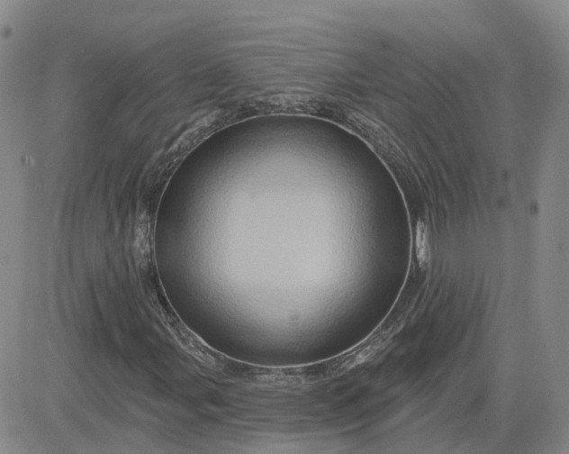 X0000083571107200702231622