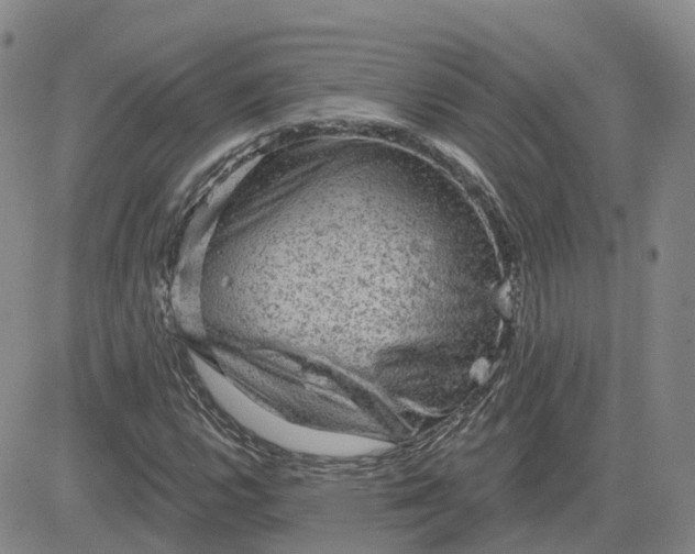 X0000083571112200702231622