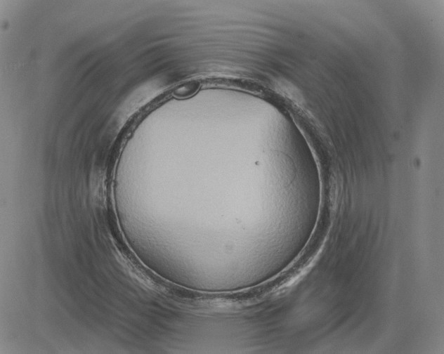 X0000083571113200702231622