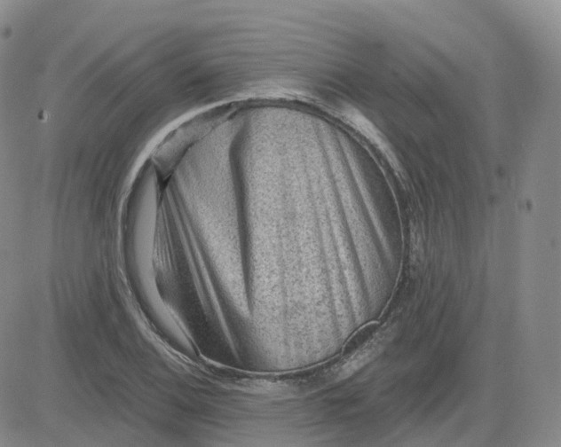 X0000083571124200702231623