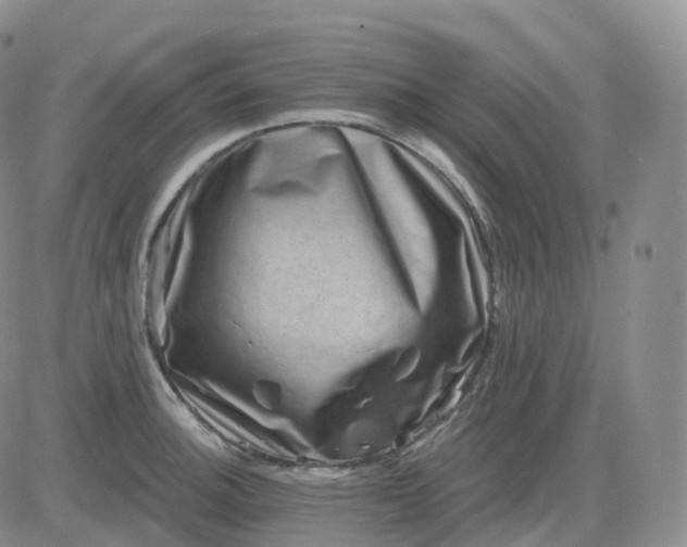 X0000083571140200702231623