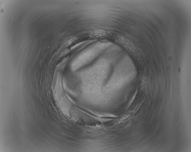 X0000083571153200702231622