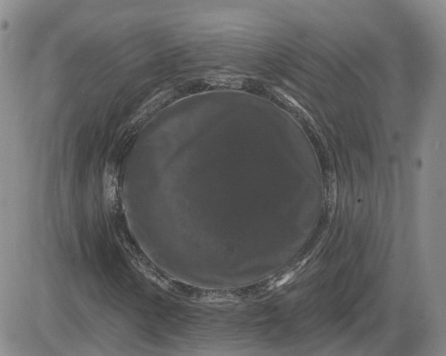 X0000083571154200702231622