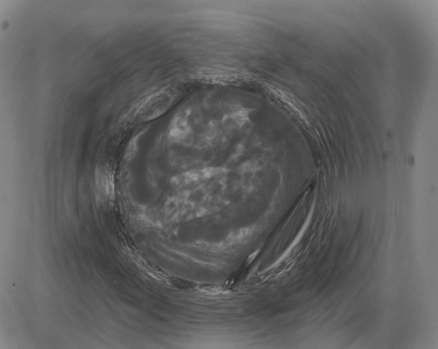 X0000083571155200702231622