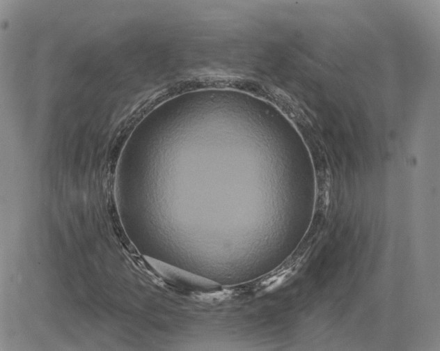 X0000083571157200702231622