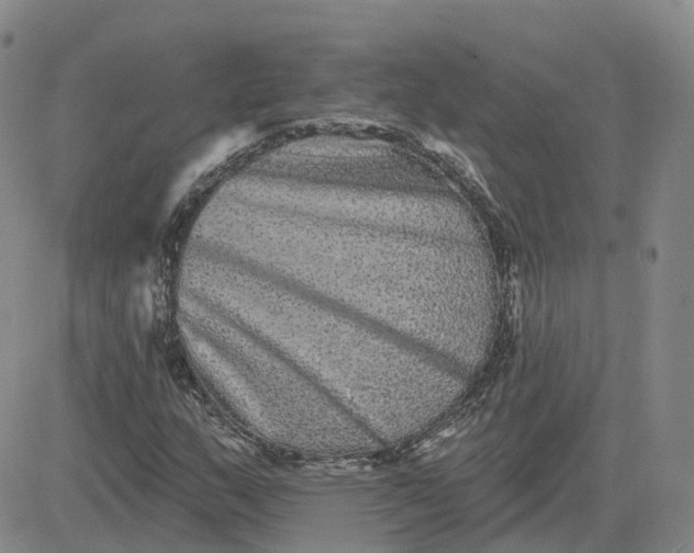 X0000083571159200702231622