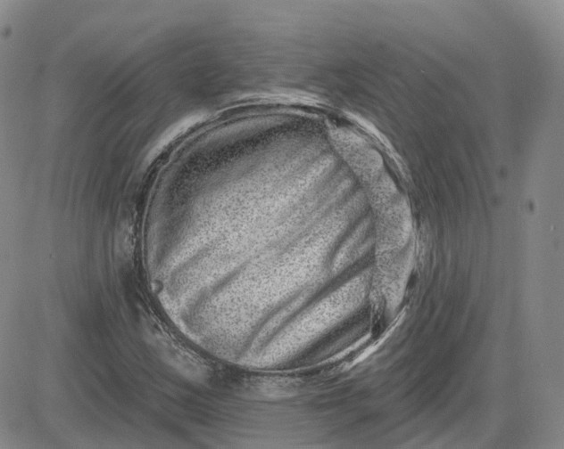 X0000083571163200702231622