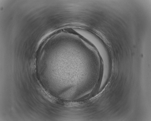 X0000083571164200702231622