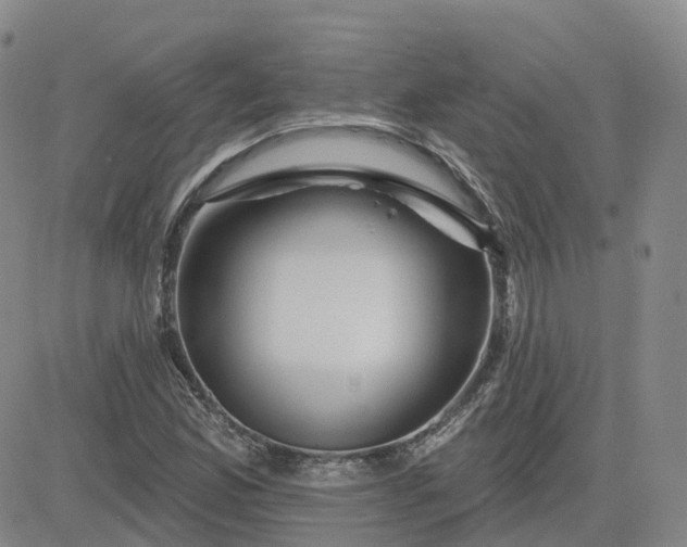 X0000083571165200702231622