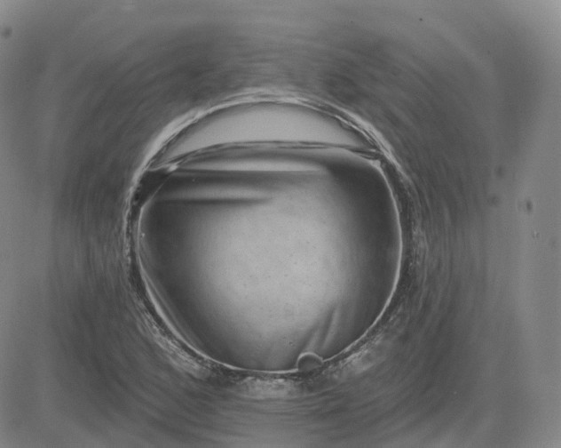 X0000083571168200702231622