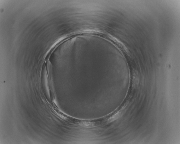 X0000083571170200702231622
