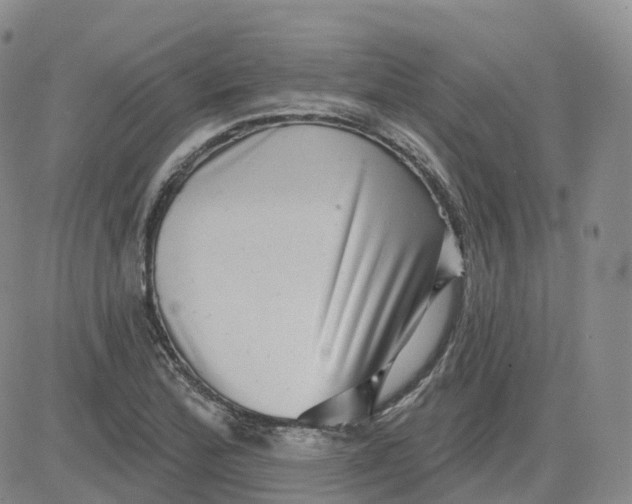 X0000083571172200702231622