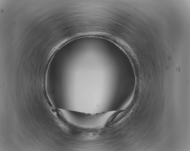 X0000083571177200702231622