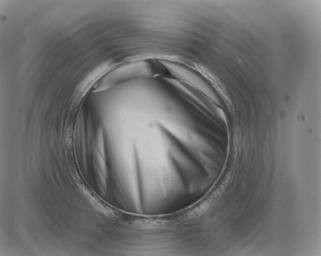 X0000083571185200702231622