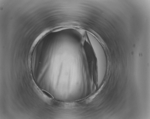 X0000083571196200702231621