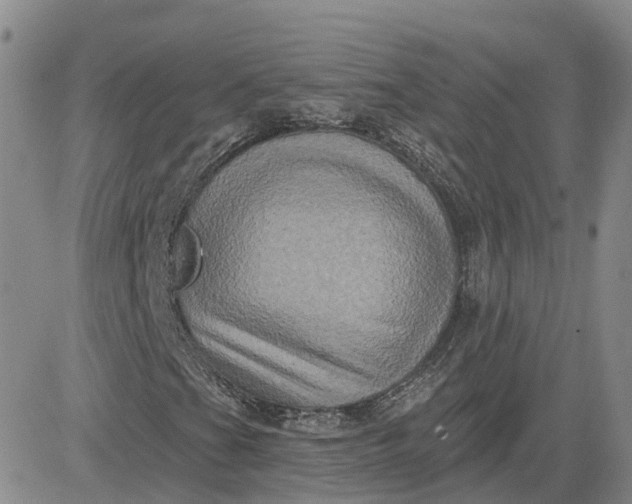 X0000083571201200702231620