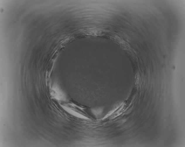 X0000083571202200702231621