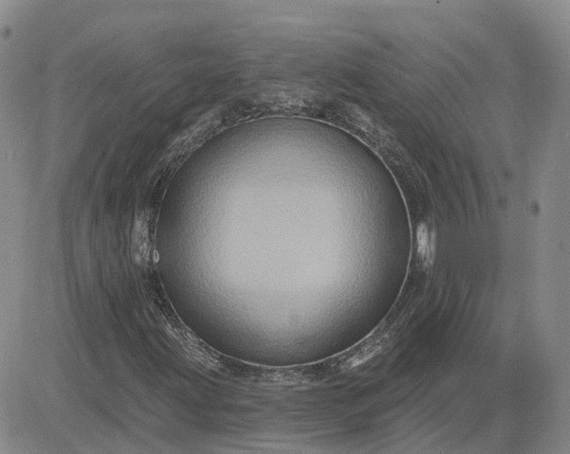 X0000083571203200702231621