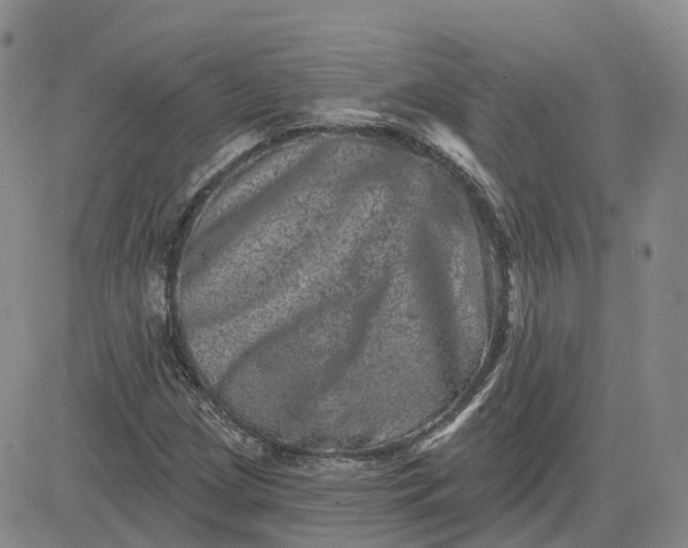 X0000083571209200702231621