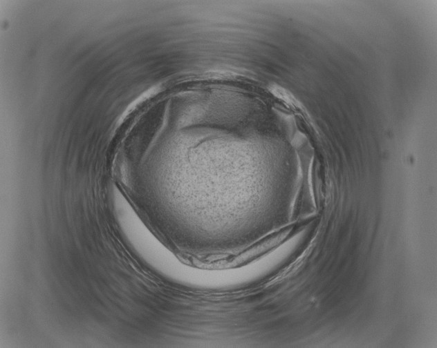 X0000083571210200702231621