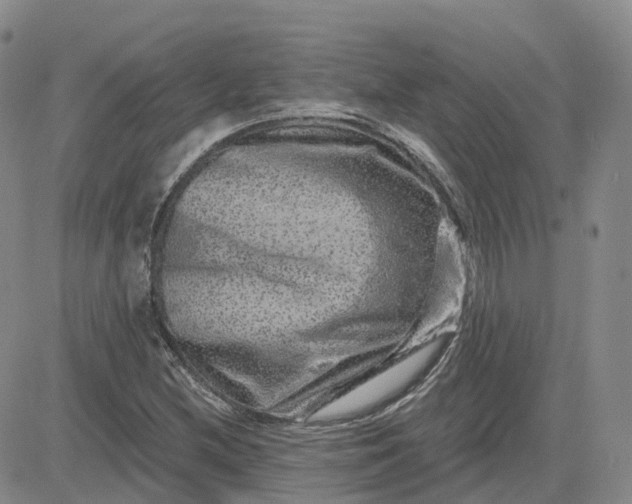 X0000083571212200702231621