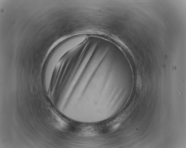 X0000083571222200702231621