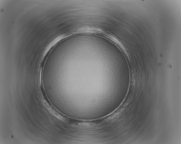 X0000083571227200702231621