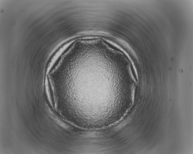 X0000083571228200702231621