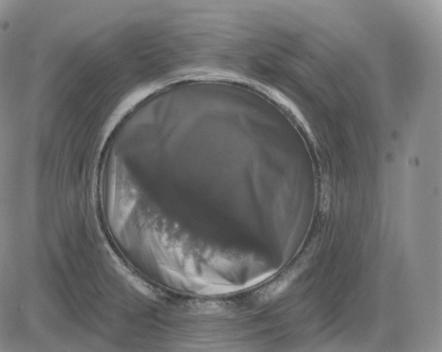 X0000083571231200702231621
