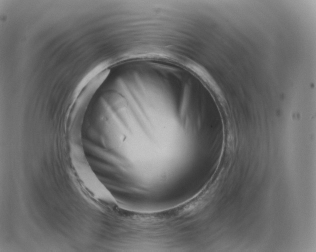 X0000083571242200702231621