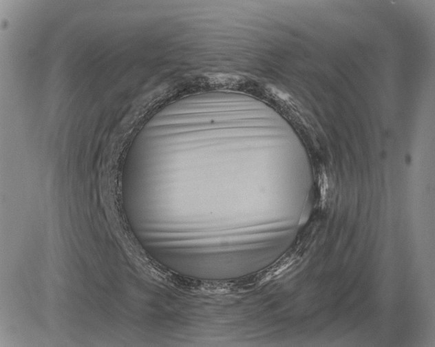 X0000083571249200702231620
