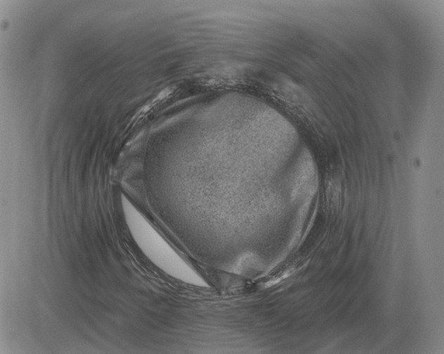 X0000083571250200702231620