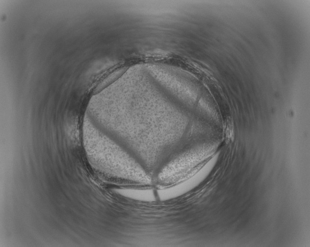 X0000083571252200702231620