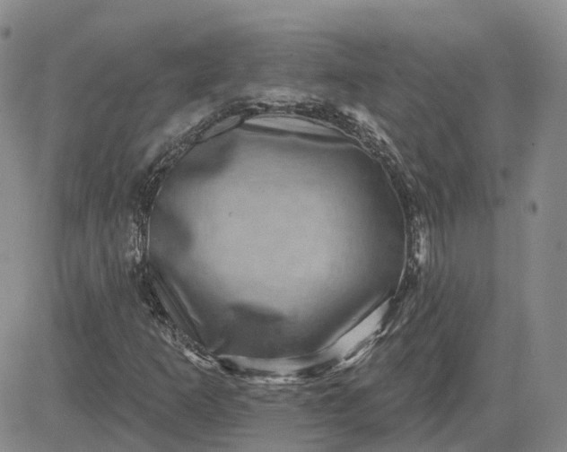 X0000083571253200702231620