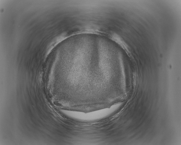 X0000083571260200702231620