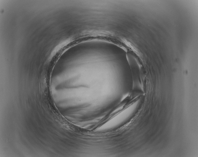 X0000083571261200702231620