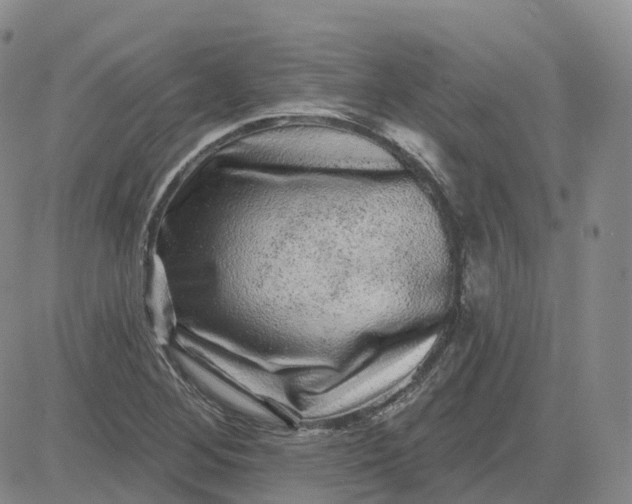X0000083571268200702231620