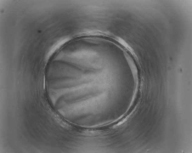 X0000083571269200702231620