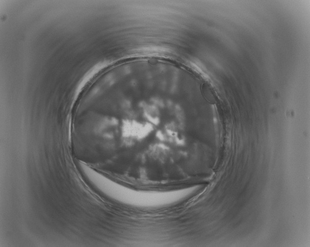 X0000083571275200702231620