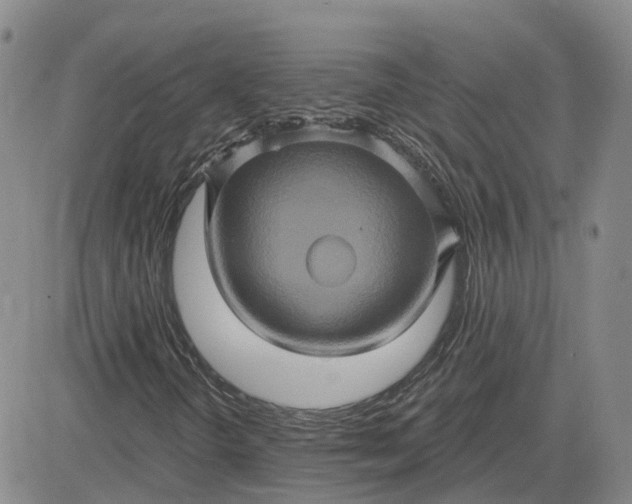 X0000083571298200702231619