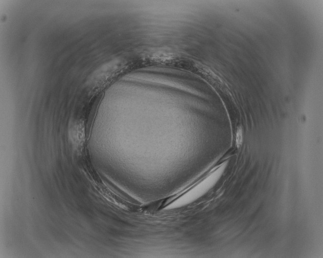 X0000083571299200702231619