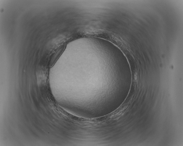 X0000083571300200702231619