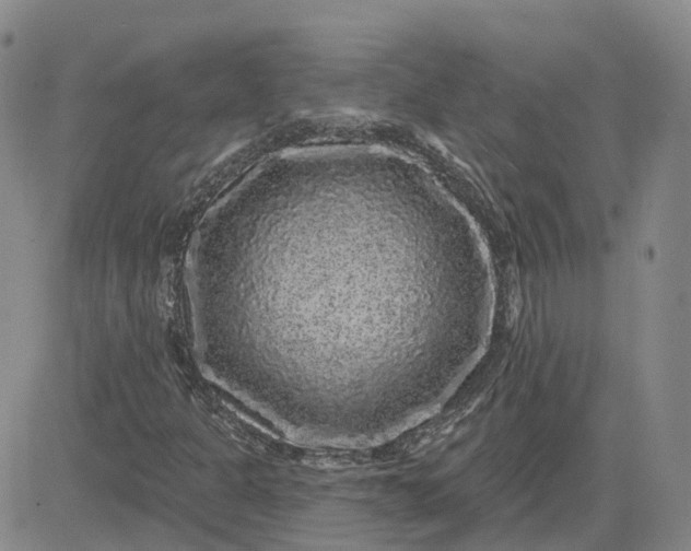 X0000083571301200702231619