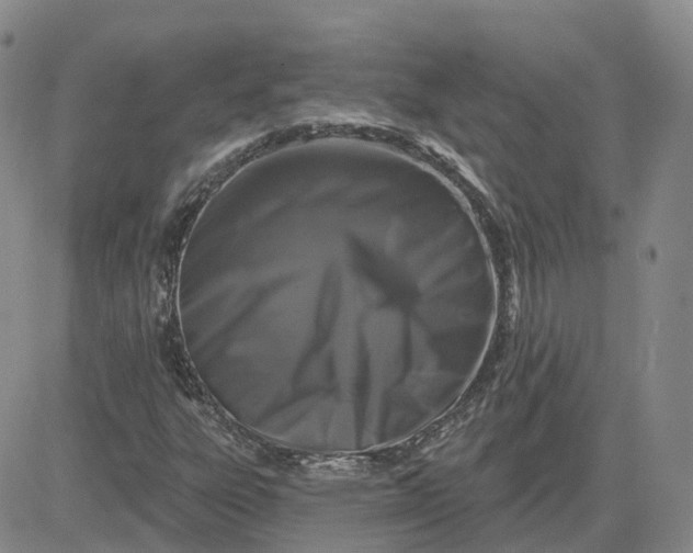 X0000083571303200702231619