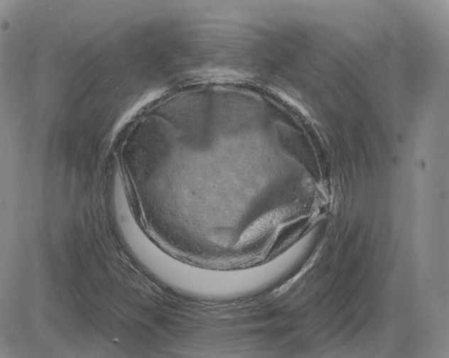 X0000083571309200702231619