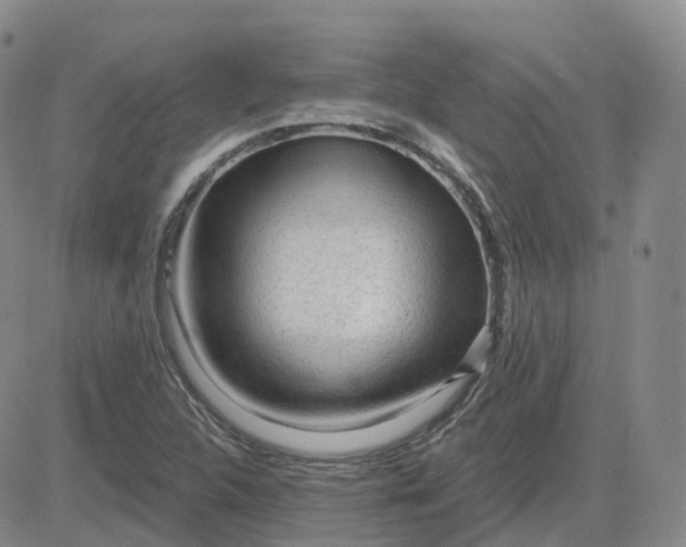 X0000083571312200702231619